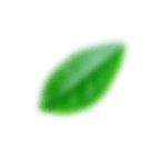 Leaf 4